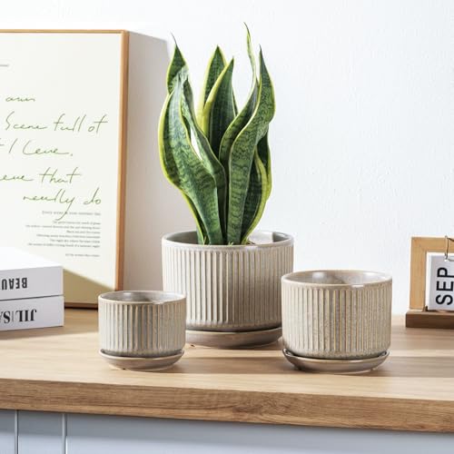 Speckle Gray Ceramic Plant Pots Set