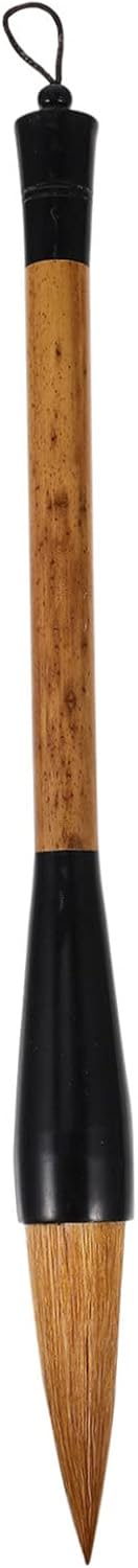 Homoyoyo Professional Chinese Brush for Boys and Girls Calligraphy Kit for Adults Easy to Use Writing Brush Smooth Tip for Novices