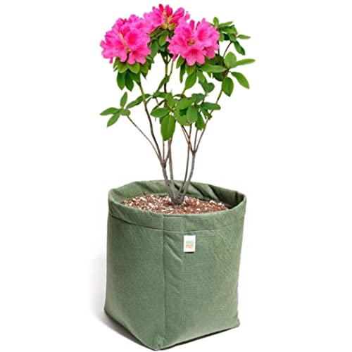 Vaso de Feltro 11 Litros - King Pot (Verde)