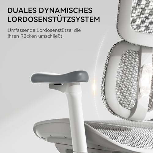 Sihoo Bürostuhl mit ergonomischer dualer Lordosenstütze und verstellbaren Armlehnen