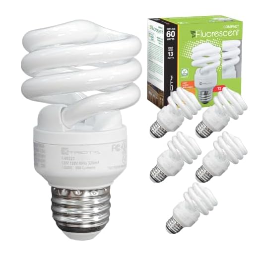 Xtricity Compact Fluorescent Light Bulb T2 Spiral CFL, 5000k Daylight, 13W (60 Watt Equivalent), 900 Lumens, E26 Medium Base, 120V, UL Listed (Pack of 6)
