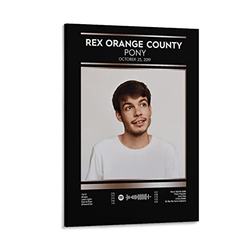 Poster toile Rex Orange County Pony 8 décoration chambre paysage sportif salon 50x75cm