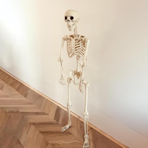 Esqueleto realista de 91 cm móvil y articulado, ideal para decorar fiestas de terror 5