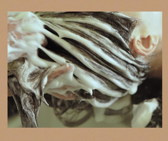 Miniatura 4 de HIGH EN FORÊT Champú Secreto de 20.3 onzas líquidas, para cabello graso y cuero cabelludo, limpia profundamente y calma el cuero cabelludo, pH