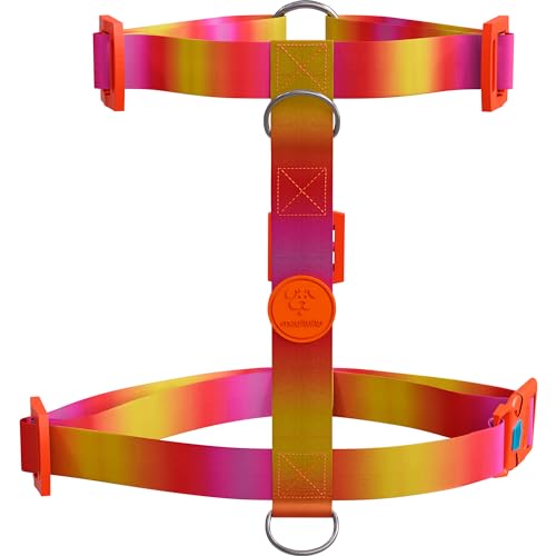 Peitoral Kit H + Guia Multicolorido (M, CITRUS)