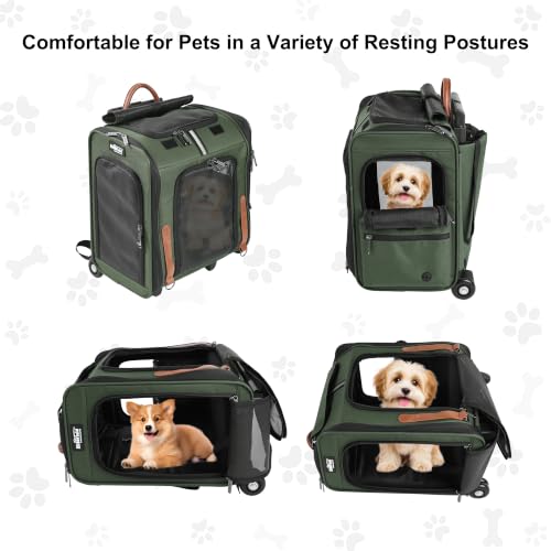 EliteField Rolling Backpack Carrier