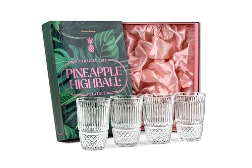 GLASSIQUE CADEAU Vintage Pineapple Gin and Rum Highball...