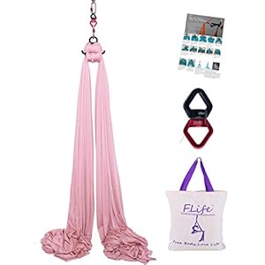 FLife-Aerial-Silks-9-Yards-Equipment-Medium-Stretch-Yoga-Silk-Hammock-Hardware-kit-for-Home-Acrobatic-DanceAir-Yoga-Aerial-Yoga-Hammock F.Life 9 Yards Aerial Silks Equipment- Medium Stretch Aerial Silk Hardware kit for Acrobatic Dance,Air Yoga, Aerial Yoga Hammock (Champagne)