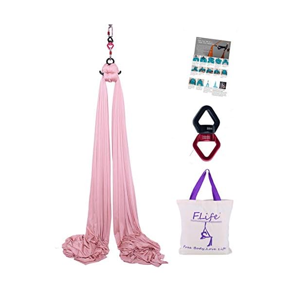 FLife-Aerial-Silks-9-Yards-Equipment-Medium-Stretch-Yoga-Silk-Hammock-Hardware-kit-for-Home-Acrobatic-DanceAir-Yoga-Aerial-Yoga-Hammock F.Life 9 Yards Aerial Silks Equipment- Medium Stretch Aerial Silk Hardware kit for Acrobatic Dance,Air Yoga, Aerial Yoga Hammock (Champagne)