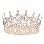 Rose Gold Pink Crown Rose Gold Pink Crown