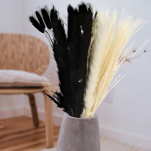 Ramo de juncos secos decorativos pampas negro POPETPOP miniatura 6