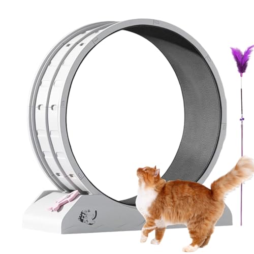 Roue de course de chat avec teaser intégré pour stimuler l'exercice - 2
