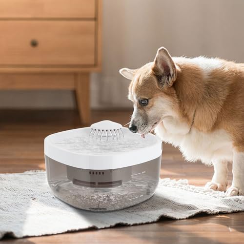 Fuente automática para agua de mascotas 7L blanca miniatura 3