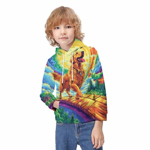 Sweatshirt Labrador Retriever 3D pull ado capuche sweat hiver 9-11Y