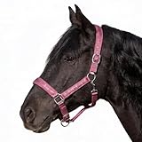 Licol pour chevaux – Look scintillant dans l'écurie : accessoires élégants pour cheval avec détails scintillants pour une apparence élégante. Parfait pour la vie quotidienne, le tournoi ou la séance photo - Un véritable accroche-regard pour votre cheval.