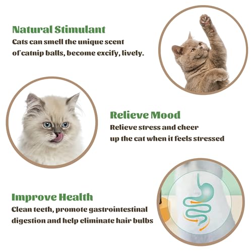 Image of Sichumaria Catnip Wall Toys,Catnip Balls Teeth Cleaning Cat Bite Toy,Edible Cat Licking Toy, Cat Chew Toy, Teeth Cleaning Cat Bite Toy, Rotatable Indoor Cat Toy (1Pcs,Blue)