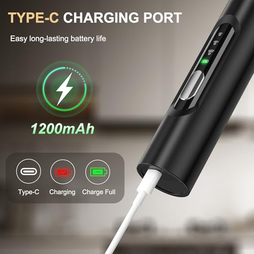 Handheld Milk Frother Wand