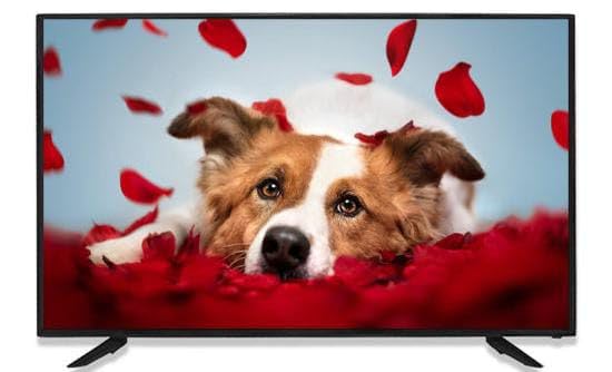 REAL MERCURY 32 + inch Smart Full hd Lucid 80(cm) m1hy Series (B0D8ZYNGNH) Amazon Price History, Amazon Price Tracker