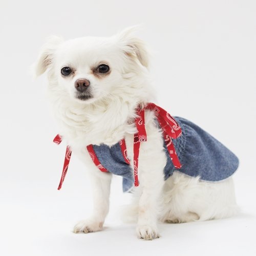 ハンドメイド　ベスト付きシャーリングワンピース　オーダー小型犬 Amazon | キャミシャーリングワンピース型紙 ばらばら印刷 小型