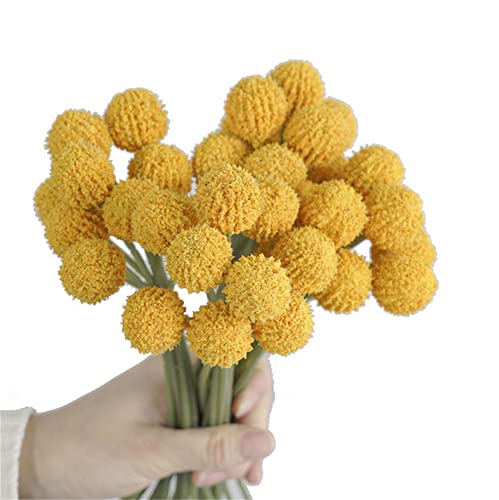 Avivilea Ramo de flores artificiales de craspedia globosa, ramo de flores bohemias para decoración de bodas, hogar, fiesta, oficina (amarillo dorado)