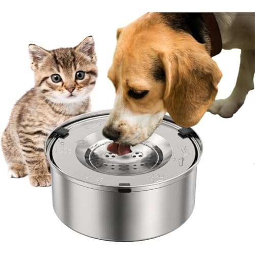 Dlwk  ݊ e XeX L ybgp H   ybg ݂̂݊   L݊ ᑬ hU 􂢂₷  Ԏgp s ƒp Lp (1L,XeX|)