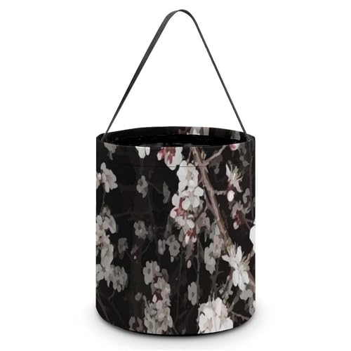 nEB LfBoXPbg  ԕ a wi LfB َq Rei 񂰑 y p[eB[LOi v[g OWp