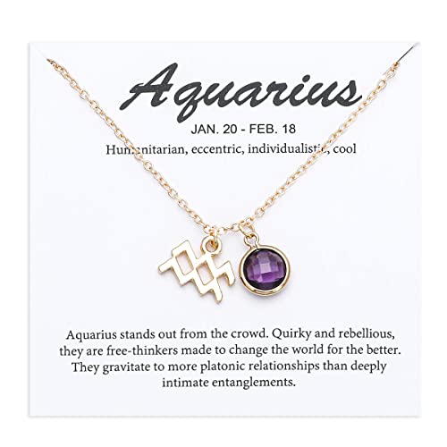 TGOLM 14k Gold Plated Aquarius Sign February Birthstone Created-amethyst Crystal Necklace for Women Birthday Gift