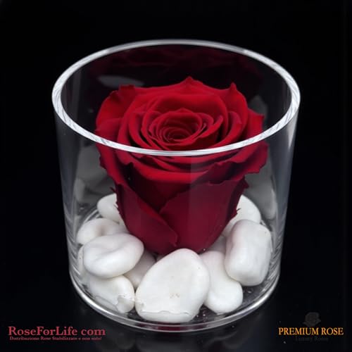 Premium-rose.com Runde Box mit stabilisierter roter Rose und Carrara-Marmor, Geschenkidee für Freundin, Ehefrau, Mutter, Weihnachten, Valentinstag, Symbol der ewigen Liebe, (Rot 1090)