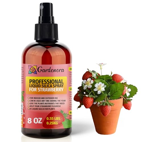 Silica líquido para plantas de fresa 8oz Gardenera