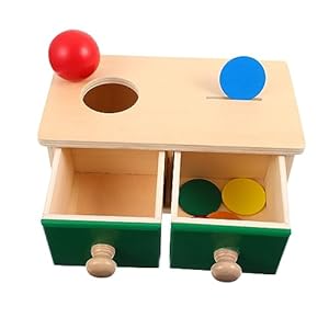 Abaodam 1 Set Montessori Teaching Aid Coin Boys Toy Developmental Toys Babies Toys Piggy Bank Toys for Toys for 1 Year Old Girl Boy Toys Coins for Colorful Wood