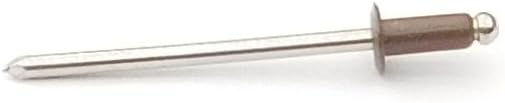 EAGLE 1: Stainless steel Rivets 1/8" x 1/4" (#43) (100, Cocoa Brown)