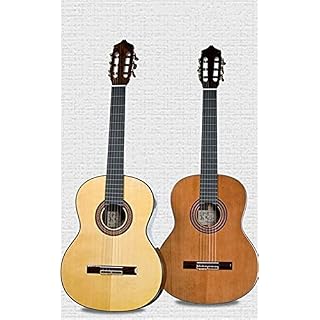GaYouny Guitare Toutes Les Cordes De Nylon De Guitare Acoustique Classique De Bois Réel Toutes La Guitare Acoustique… - Les Beatles, Paul McCartney, John Lennon, RIngo Starr, George Harrison GaYouny Guitare Toutes Les Cordes De Nylon De Guitare Acoustique Classique De Bois Réel Toutes La Guitare Acoustique… – Image 2