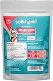 Solid Gold Grass Guardian Chews for Dogs - 10 Count - Pasture