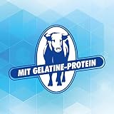 Gelatine Rind Pulver Dose