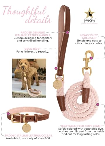 5ft-Braided-Cotton-Rope-Dog-Leash-with-Soft-Padded-Genuine-Leather-Handle-for-Small-Medium-and-Large-Dogs-Handmade-Comfort-Cute-Leash-for-Girl-and-Boy-Puppies-Blue