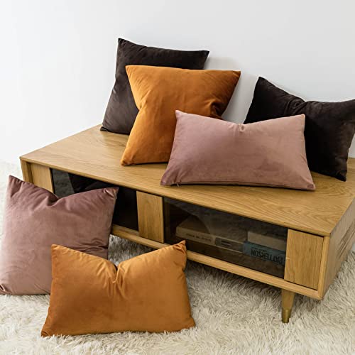 Image of JUSPURBET 18x18 Decorative Velvet Throw Pillow Covers Cases Set of 2,Jam | Modern Soft Cushion Covers with Hidden Zipper for Couch Sofa Bed Living Room Bedroom Home Decor