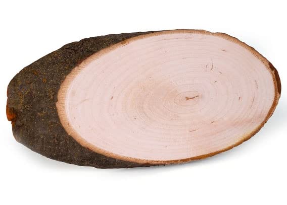 Unbekannt Bark Board Natural Oval Approx. 20-23 x 10 x 1 cm