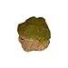 Floating Decorative Rock with Moss Effect Aquarium Decor, Perfect Floating Reptile Hide