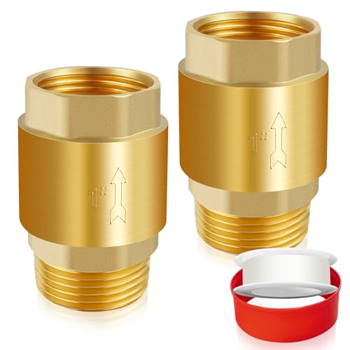 Boltigen 2Pcs 1in NPT Spring Check Valve, Brass Non Return One Way Check Valve, Vertical Inline Water Backflow Preventer for Well, Pump, Tank (1
