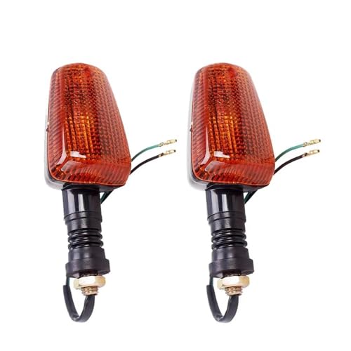 Feu clignotant moto pour vos balades en XJR1200 ou SRX600