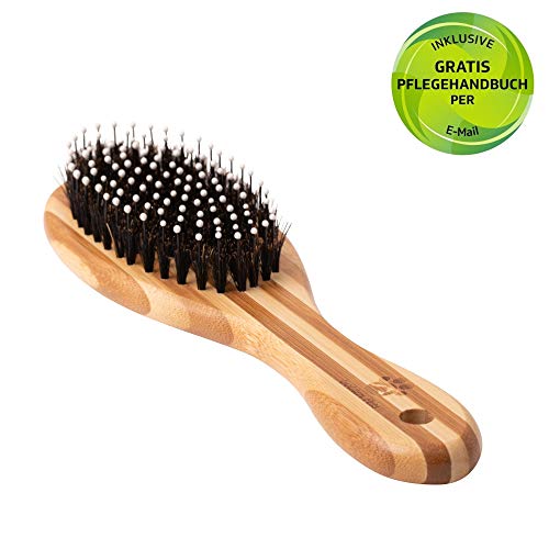 Golden Pets Bambus Kombi Hundebürste & Katzenbürste I Glätten und Entfilzen I kurz - mittellangem Fell geeignet I Hundekamm für Unterwolle I + Gratis Pflegehandbuch