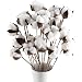 GTIDEA 20Pcs 23 inches Natural Dried Cotton Stem Farmhouse Artificial Flower Filler Floral Arrangement DIY Home Party Decor