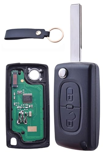 ANGOFIZ Clé Vierge Ask ID46 Electronique à Programmer 2 Boutons CE0536 Lame HU83...