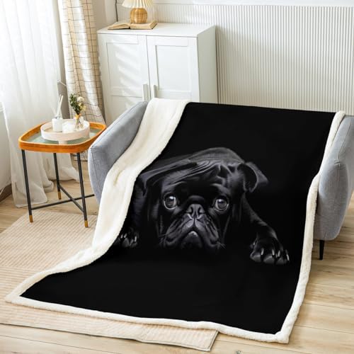 Dog Printed Sherpa Blanket Cute Pug Dog Fleece Throw Blanket 3D Animal Theme Plush Blanket for Sofa Bed Couch Room Decor Lovely Pet Dog Pattern Fuzzy Blanket Black Throw 50"x60"