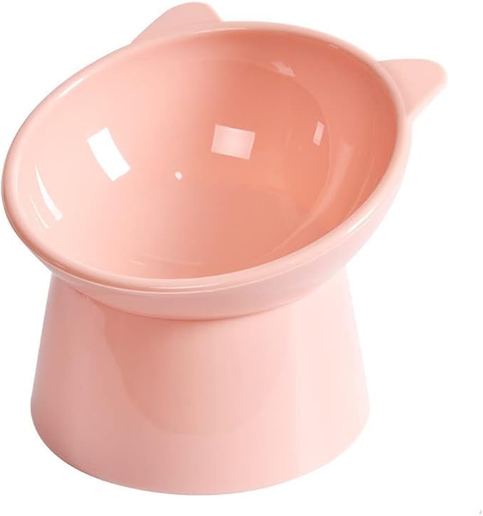 Raised Cat Bowl, Elevated Cat Bowls with Stand Tilted, Anti Vomit Cat