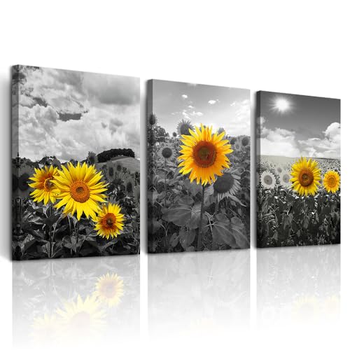 DZRWUBHS Canvas Wall Art - Large Wall Decor For Living Room, Bedroom, Kitchen, Bathroom - Black And White Sunflower Flowers Wall Painting - 3 Panel