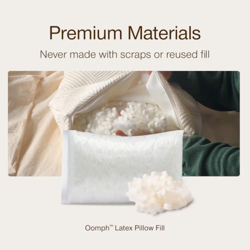 Image of Coop Home Goods Extra Oomph Latex Pillow Fill, Extra Fill Bag of Cross-Cut Talalay Latex and Microfiber Stuffing, Supportive, Naturally Cooling, Eco-Friendly Filler for Bed Pillows