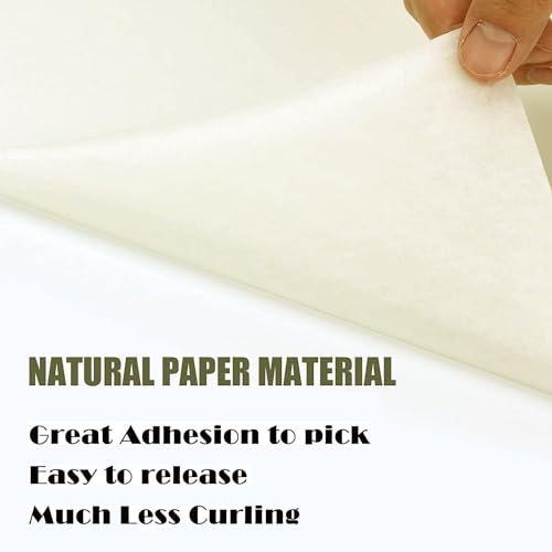 LLPT Transferfolie Plotter für Vinyl I 153mm x 30m I leicht aufnehmen ohne Blasen Rückstandsfrei Effektiv I für Bastelschneider Aufkleber Aufkleber Glasfenster Türen Schilder und DIY(TT6100P)