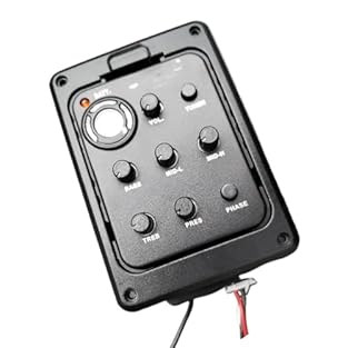 Volume, bass, middle, treble, tuner, presence control knobs Low indicator (9V power supply). Clear and easy to read metronome on the display Flip-top case for easy access to the built-in power supply These acoustic guitar pickups are widely compatibl...