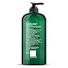Botanic Hearth Tea Tree Conditioner 16 fl oz | For All Hair Types | Fights Dandruff Dry Scalp | With Vitamin C, Peppermint Oil, Rosemary Oil & Lavender Oil | Sulphate & Paraben Free